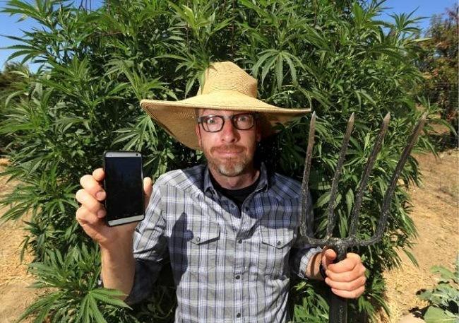 Joshua Artman developed a duo of apps that connect cannabis growers with dispensaries and users. Image: JOHN BURGESS / The Press Democrat Joshua Artman developed a duo of apps that connect cannabis growers with dispensaries and users. Image: JOHN BURGESS / The Press Democrat